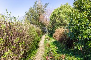 Photo 24- click for photo gallery